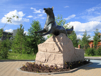 Памятник «Чёрный лис» — один из самых знаковых в городе.
Он стоит прямо у входа в Историко-культурный центр «Старый Сургут». Лис почти точь-в-точь копирует изображение зверя на гербе Сургута. Бронзовая лисица была отлита в Санкт-Петербурге, в Международном центре культуры и искусства, и долгое время городские власти не могли решиться, куда она должна «бежать» (так что лис вертелся туда-сюда). В нынешнем виде лиса направляется к дороге.